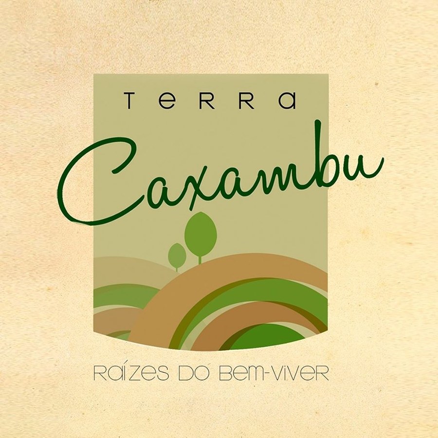 Logo Terra Caxambu Raízes do Bem-Viver