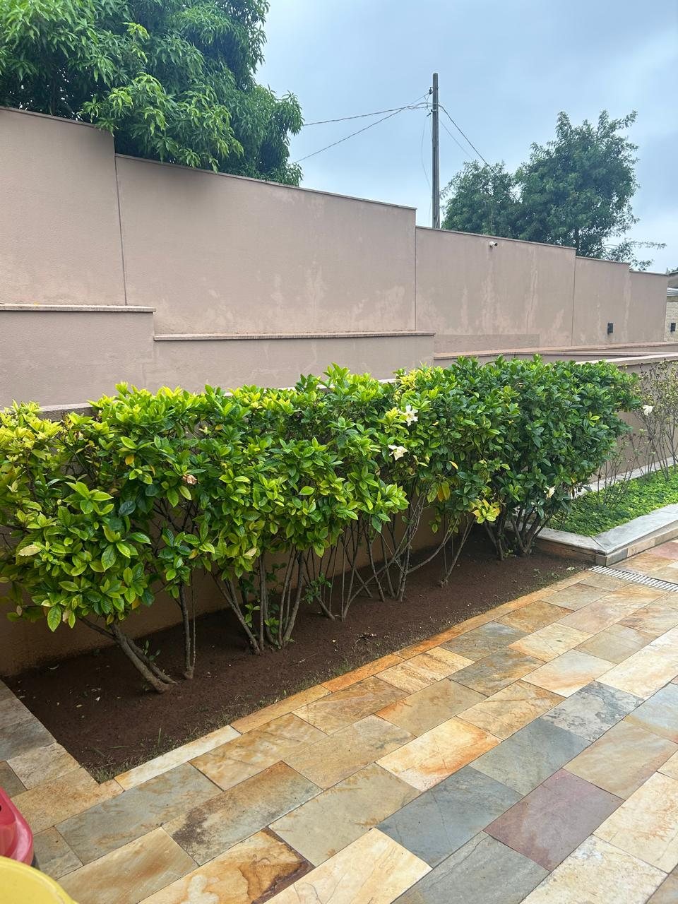 Manutenção de jardins em áreas comuns