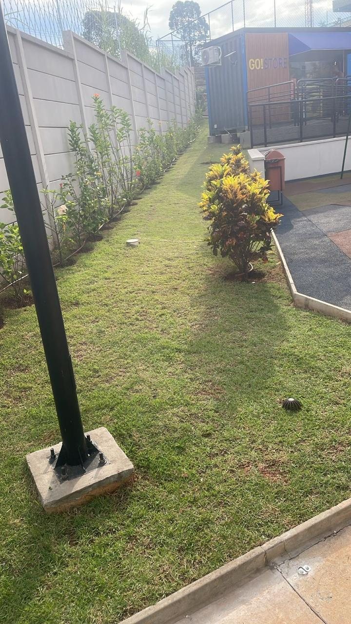 Conservação de jardins e gramados